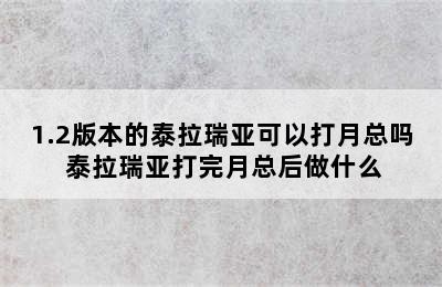 1.2版本的泰拉瑞亚可以打月总吗 泰拉瑞亚打完月总后做什么